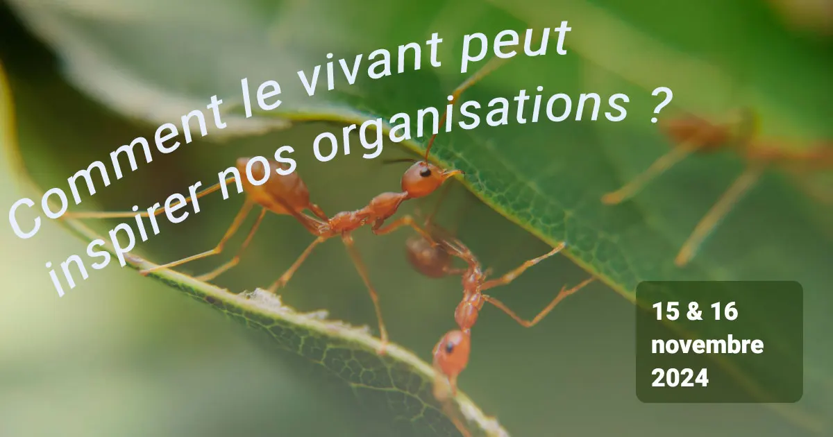 Le vivant peut-il inspirer nos organisations ?